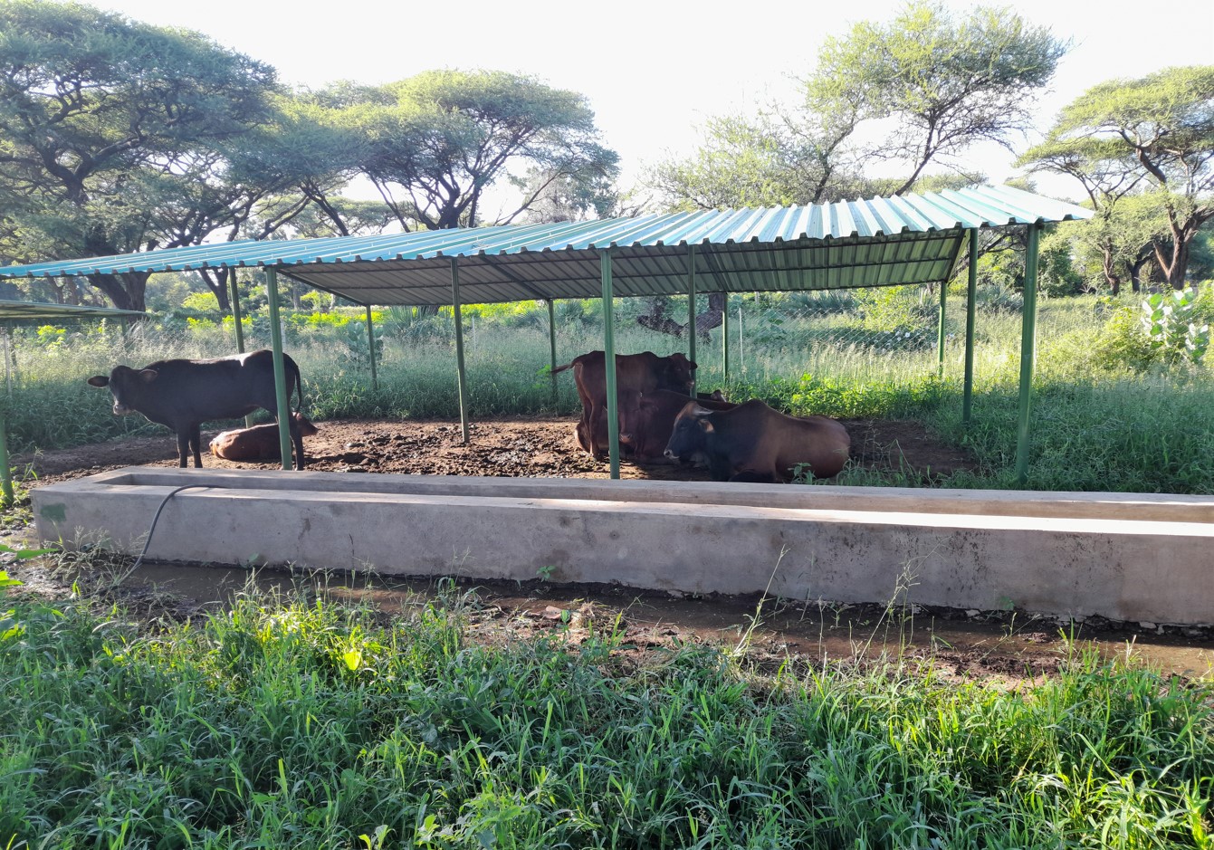 Chibuwe Technical High School