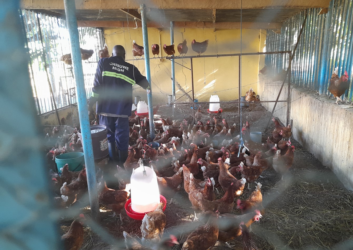 Life at Chibuwe